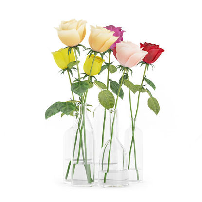 Flower rose vase 3d c4d model