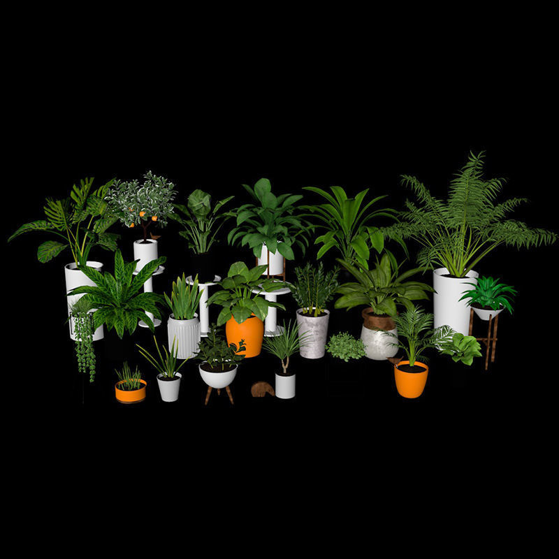 20 potted plants (c4d) 3d model