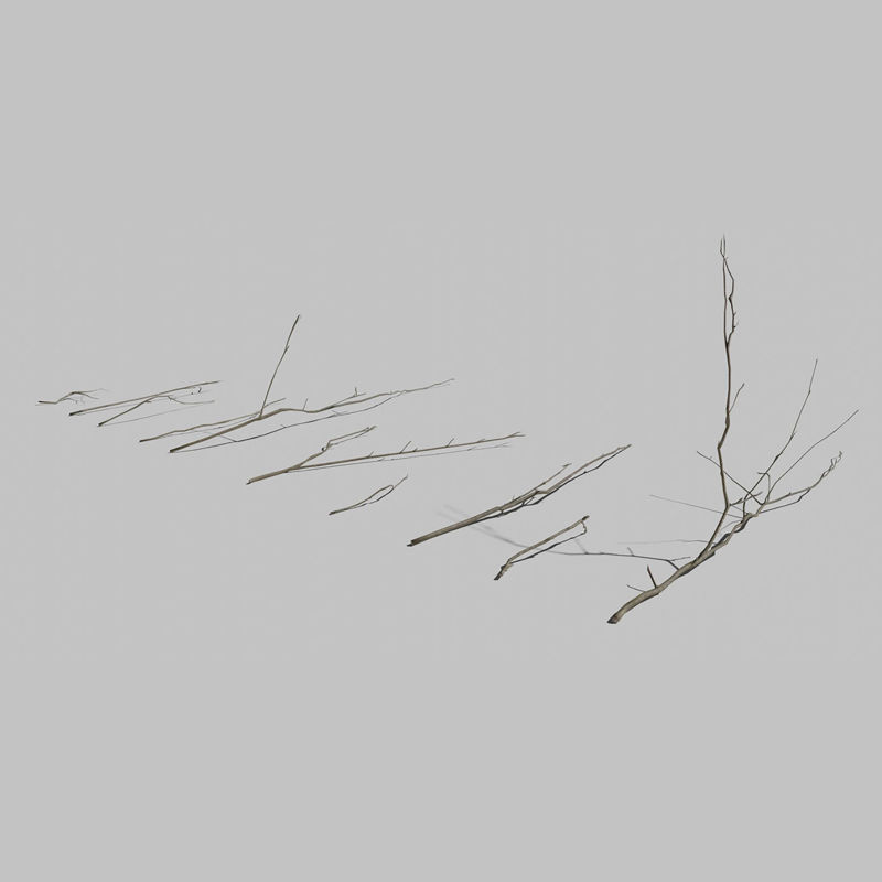 Mountain Ash Twigs3Dモデルパック