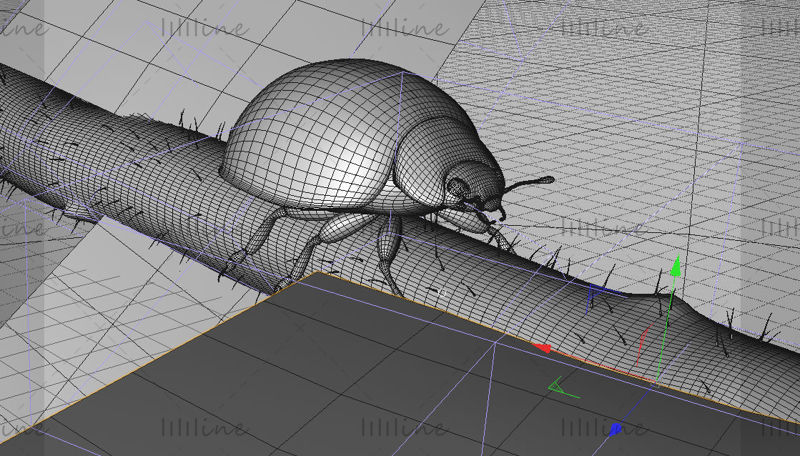 Insect 3d-model lieveheersbeestje c4d-model