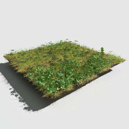 Ashweed Meadow Patch 3d model
