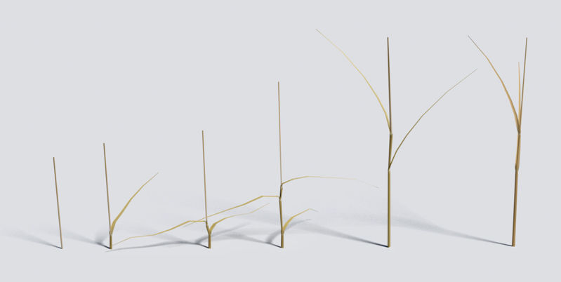 Dry Bent Grass Pack 3d model