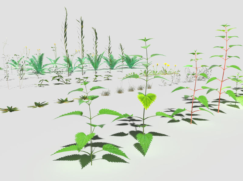 Meadow Plant Pack 3d model