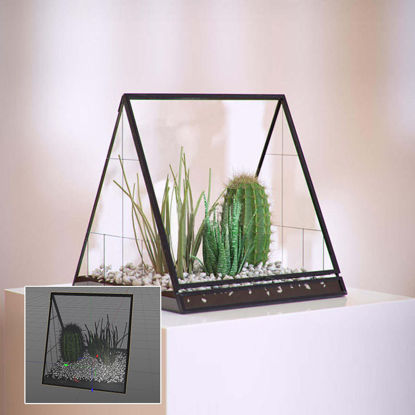 Cactus aloe decorations 3d model