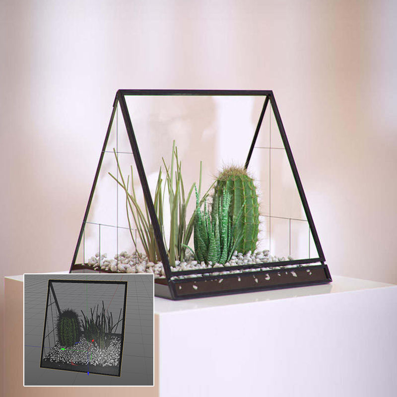 Cactus aloe decoratiuni model 3d