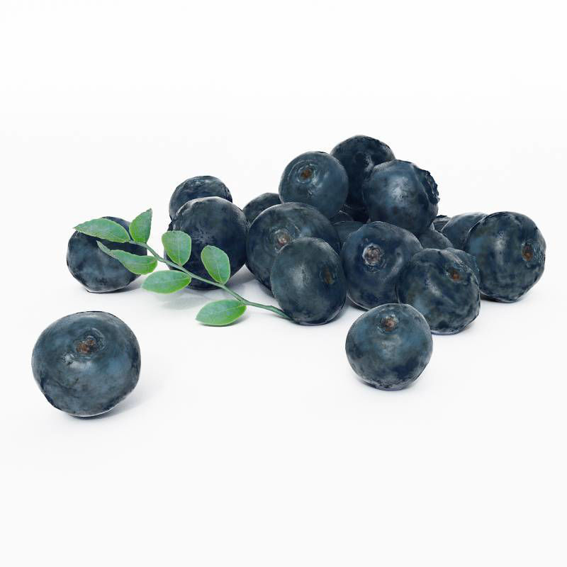Vegetables and fruits 3d model blueberry C4D model
