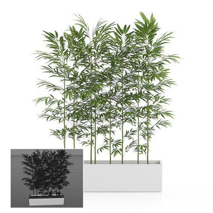 Landscape decoration 3d potted plant bamboo C4D model