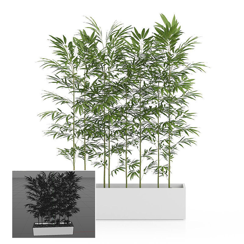 Landschapsdecoratie 3d potplant bamboe C4D-model