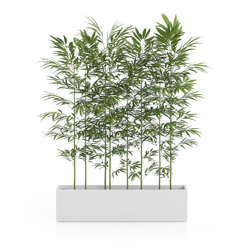 زخرفة المناظر الطبيعية 3D بوعاء نبات الخيزران C4D نموذج
