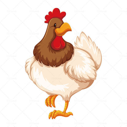 Cute hand drawn big rooster vector