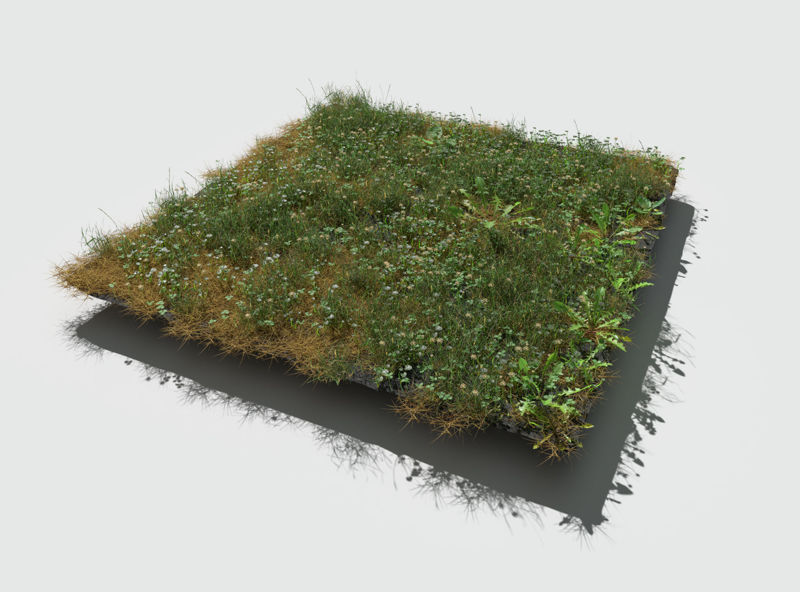 Ryegrass Meadow 3D Model Patch