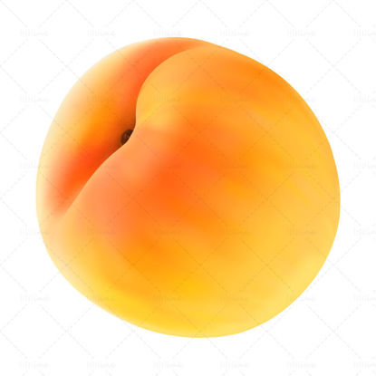 Vector realistic yellow fresh peaches