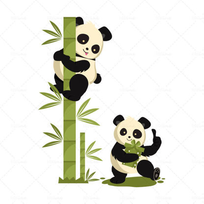 Vector Chinese National Treasure Giant Panda