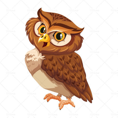 Vector illustration cute owl