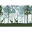 Tranquil animal forest
