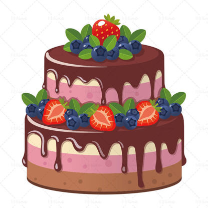 Vector fruit chocolate cake