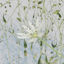 Grassleaf Starwort 3D Model Pack