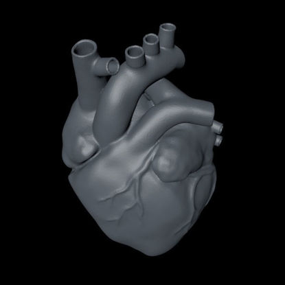 modelo de impresión 3D del corazón humano