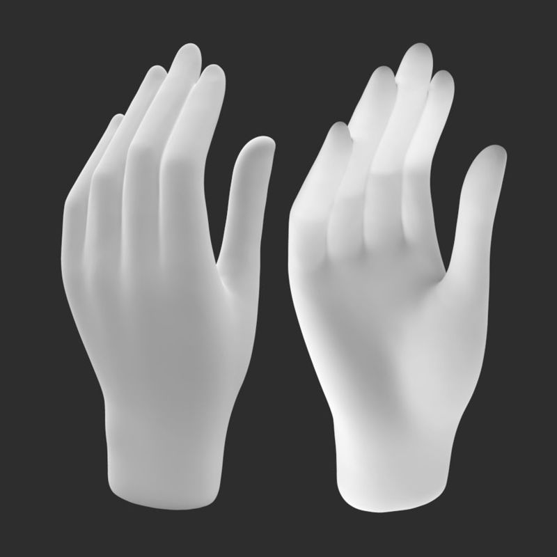 Hands Palm 3D Print Model