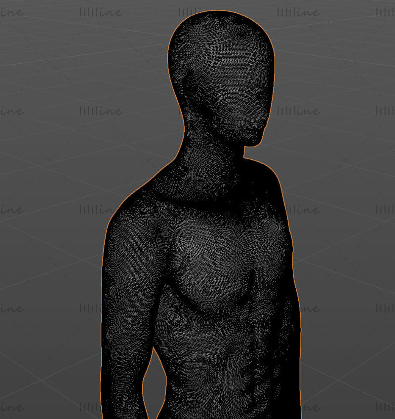 人体模型 3d 打印模型
