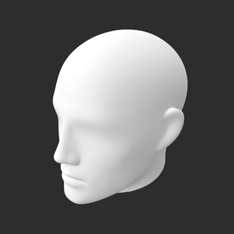 男性の頭の3Dプリントモデル
