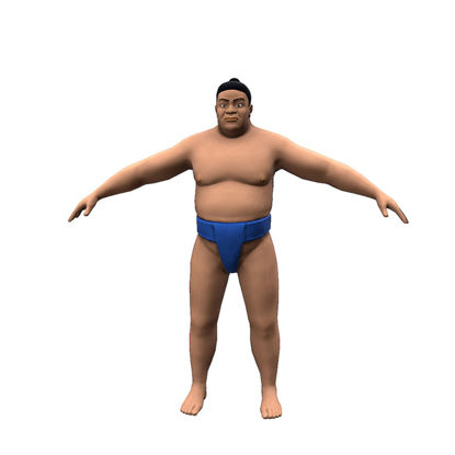 3D model zápasníka SUMO