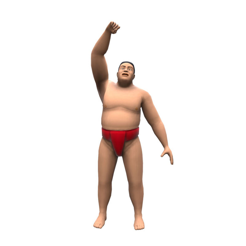 SUMO wrestler 3D Model