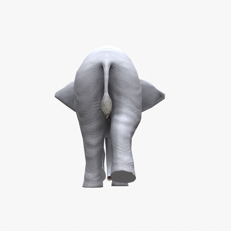 نموذج ثلاثي الأبعاد مزور على شكل فيل