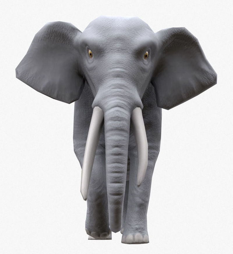 Model 3D Elephant Rigged