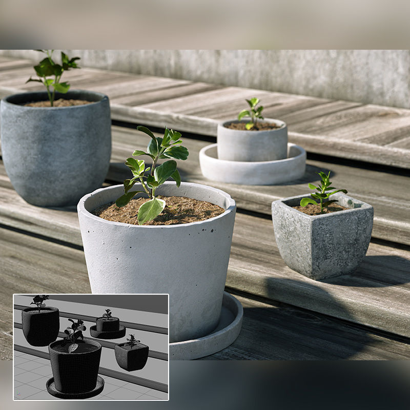 Realistická rostlina v květináči zelená rostlina 3D scéna c4d model