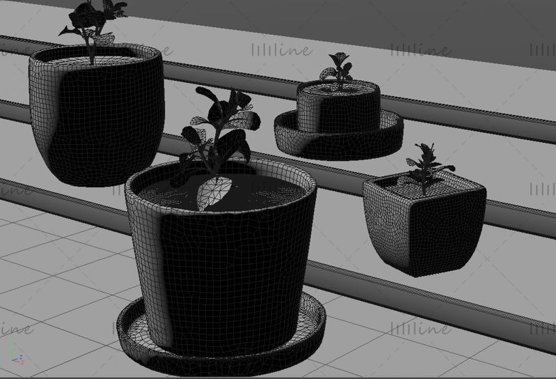 Realistická rostlina v květináči zelená rostlina 3D scéna c4d model