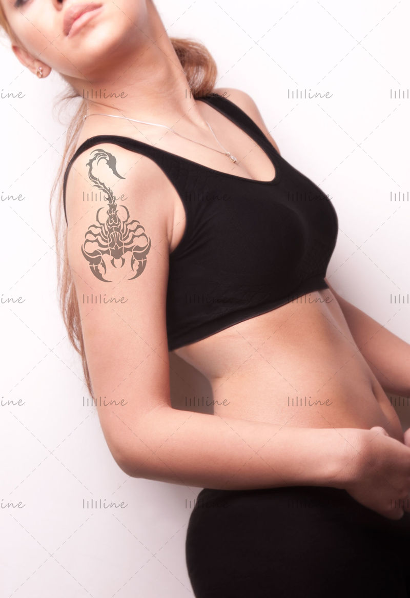 Scorpion tattoo vector