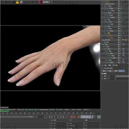 Rigged real woman's hand c4d 3d model