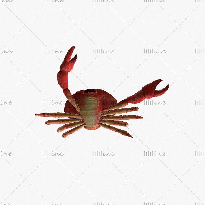 Krabbenmanipuliertes 3D-Modell