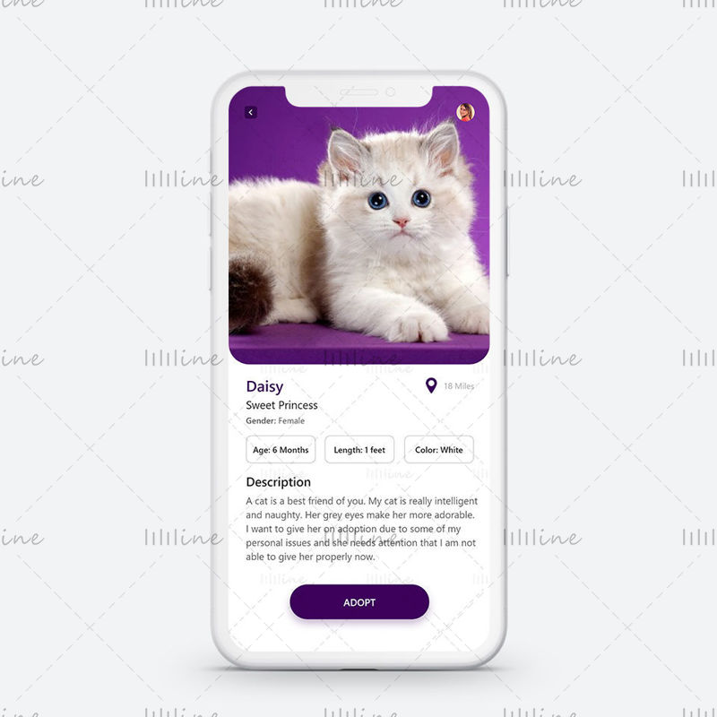 Pet Adoption App UI Dark Purple Template