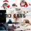 10 Cats High Precision Map21-30