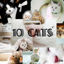 10 Cats High Precision Map31-40