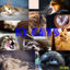 10 Cats High Precision Map71-80