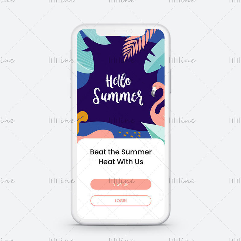 Hello Summer  Mobile App UI UX login