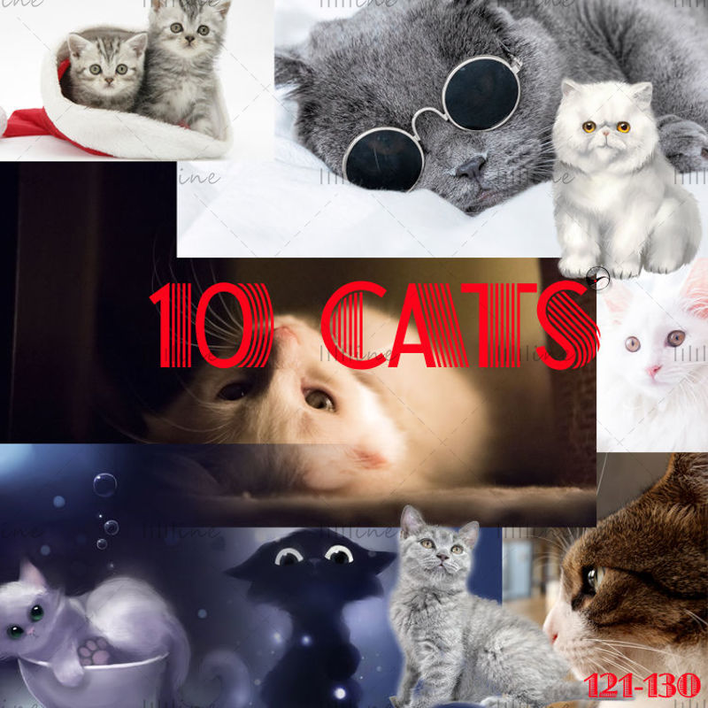 10 pisici de companie