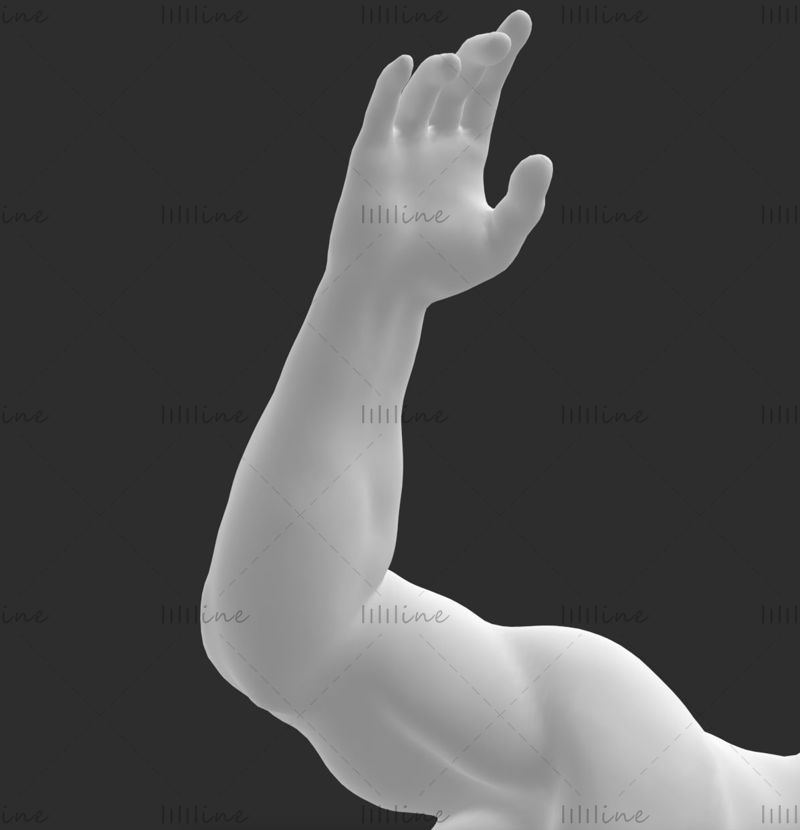 Dykking mannlig mannequin super sterk muskeldykker 3D -utskriftsmodell