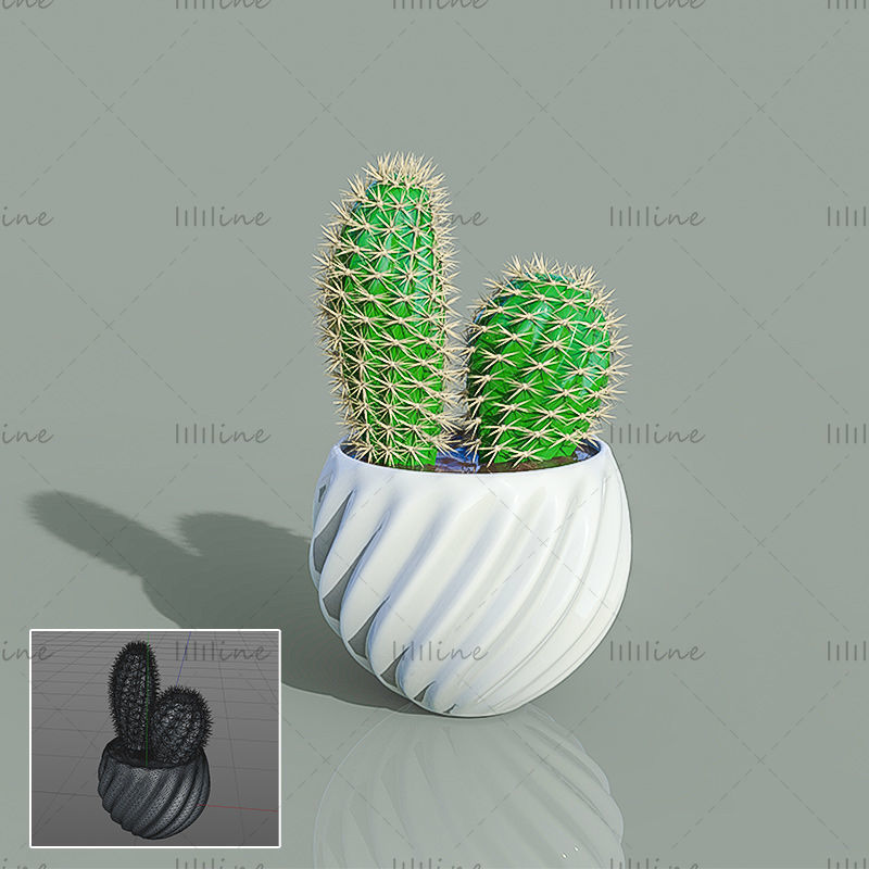 C4D green plant potted cactus 3d model