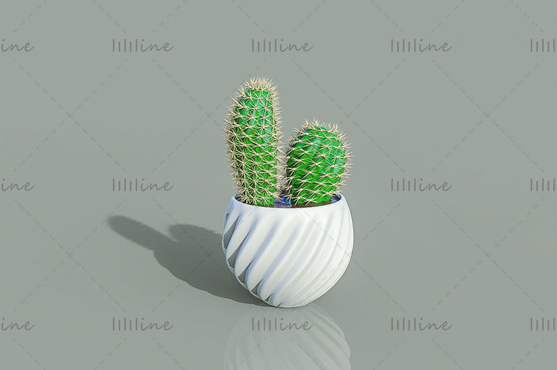 Ц4Д зелена биљка саксија кактус 3д модел