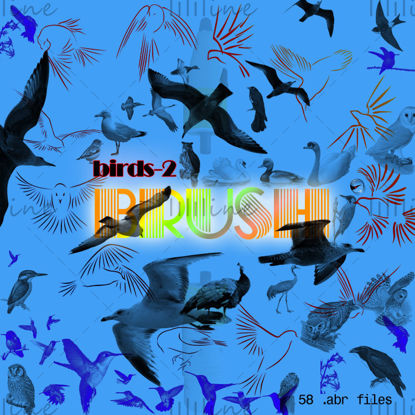 【Kuşlar-2】-PS-Fırçalar