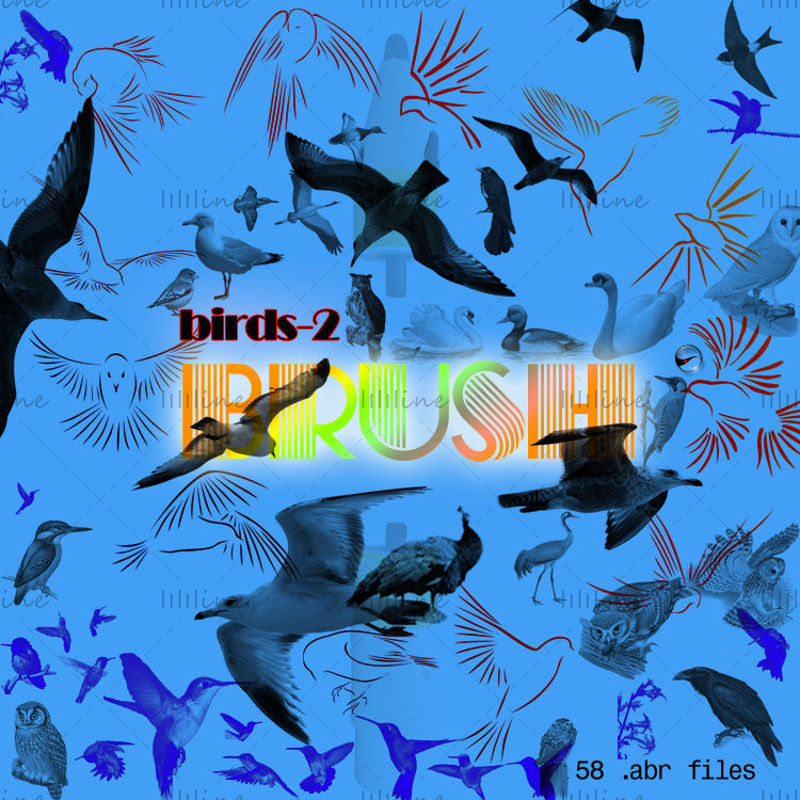 【Birds-2】 -PS-čopiči