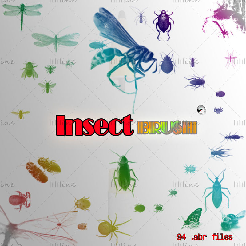[Diverse insecten] PS borstel