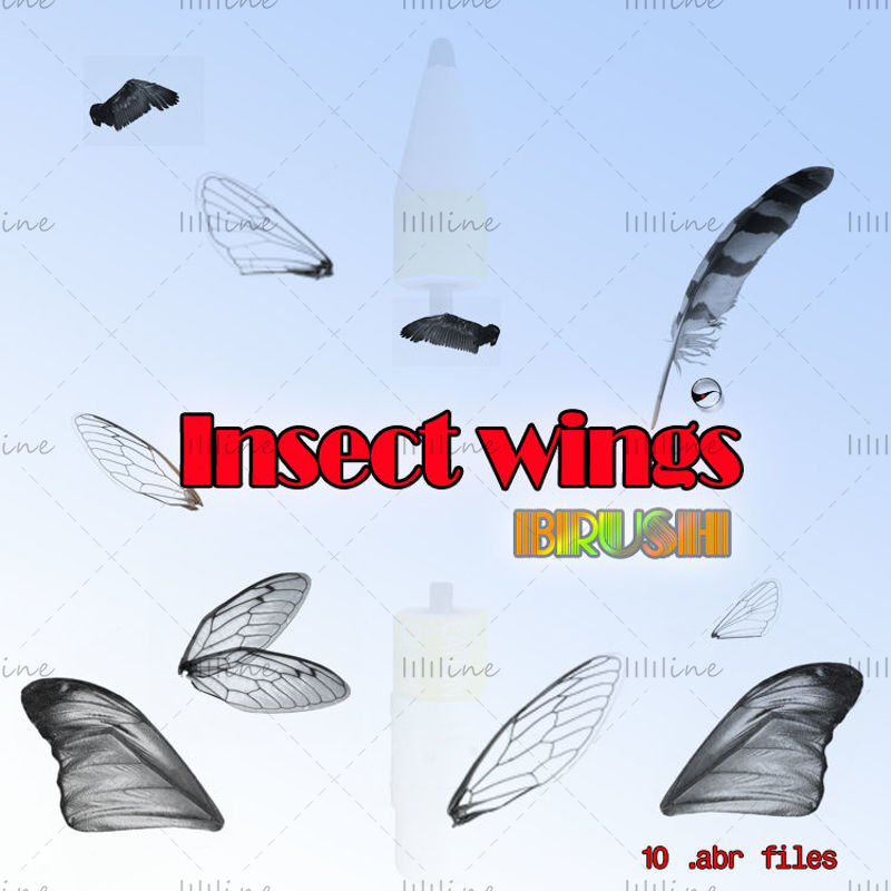 【Insect Wings】-PS Brush