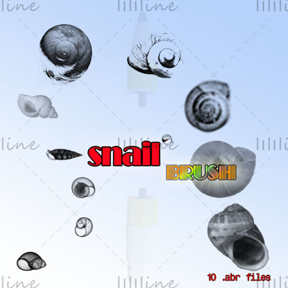 【Snail】 -PS-brush