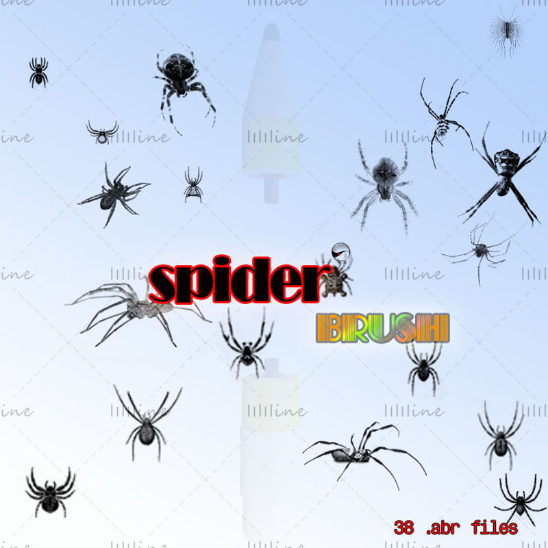 【Örümcek】--PS fırçası