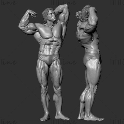 Arnold Schwarzenegger 3D Model Ready to print 3D print model